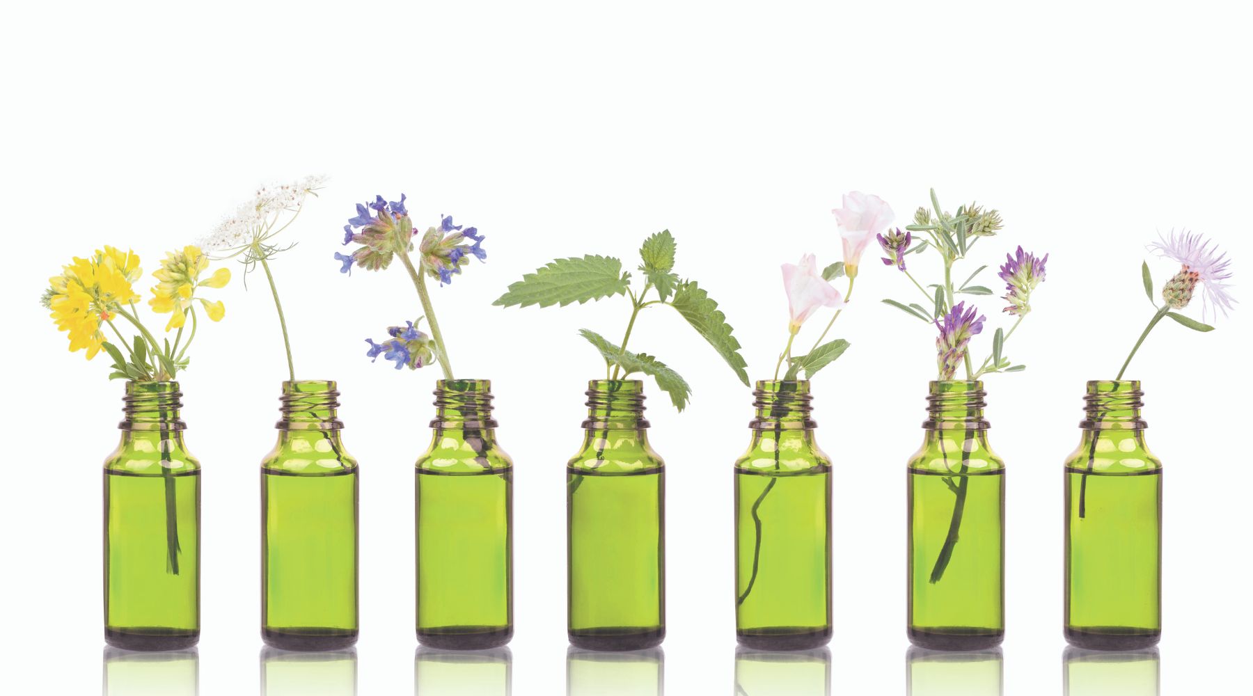 Aromatherapy Sale Collection, Essential Oils on Sale