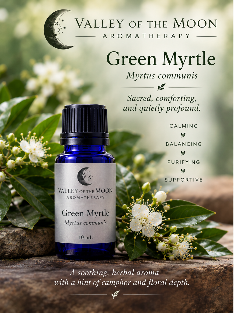 green myrtle essential oil