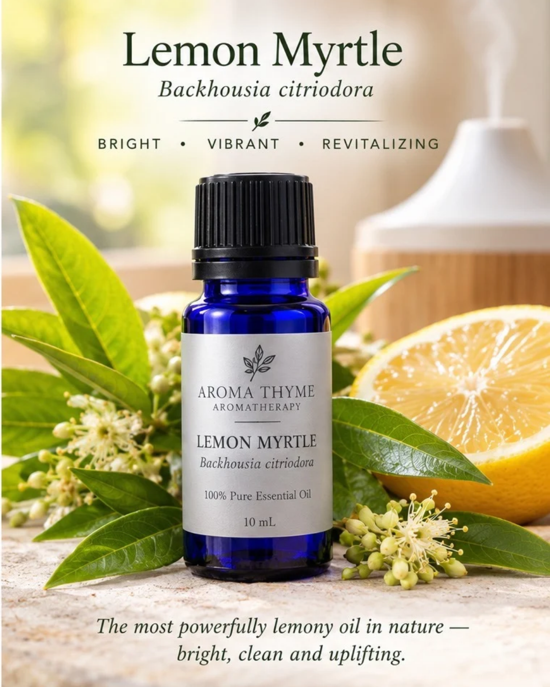lemon myrtle essential oils