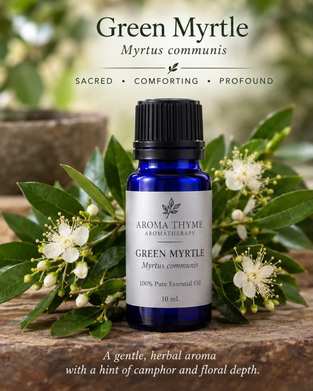 green myrtle essential oil wildcrafted